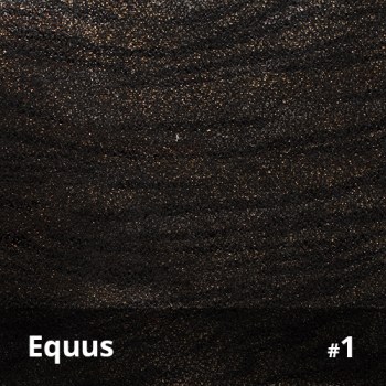 Equus 1